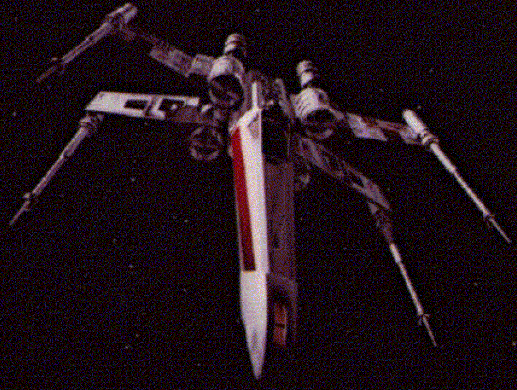 swxwing.gif (98889 bytes)